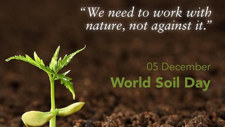 World Soil Day