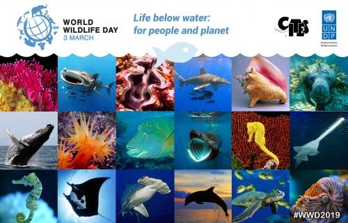 World Wildlife Day