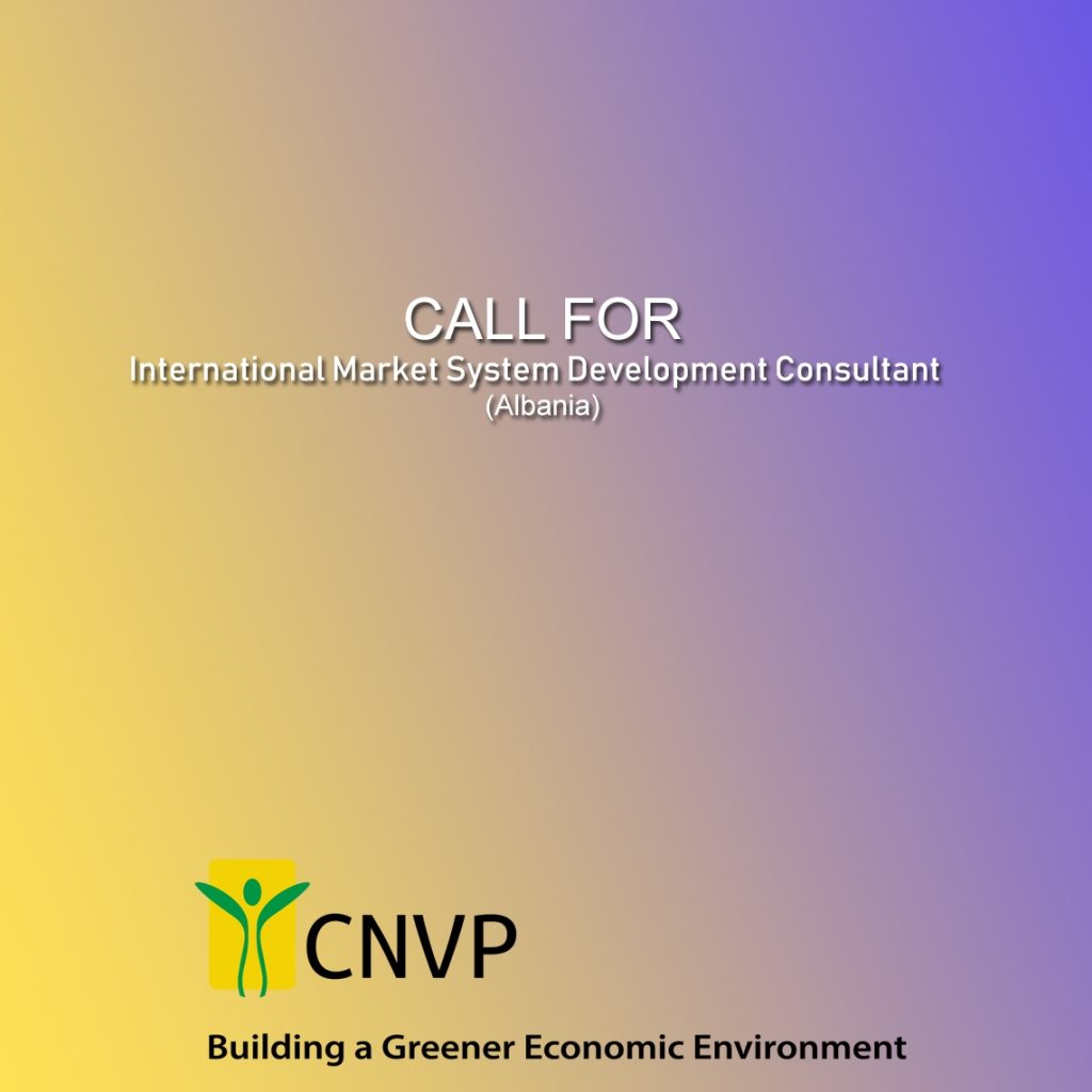 Call for International Market System Development Consultant