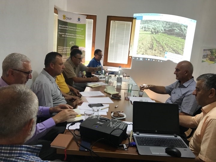 SSPDF stakeholder meeting in Peja, Kosovo
