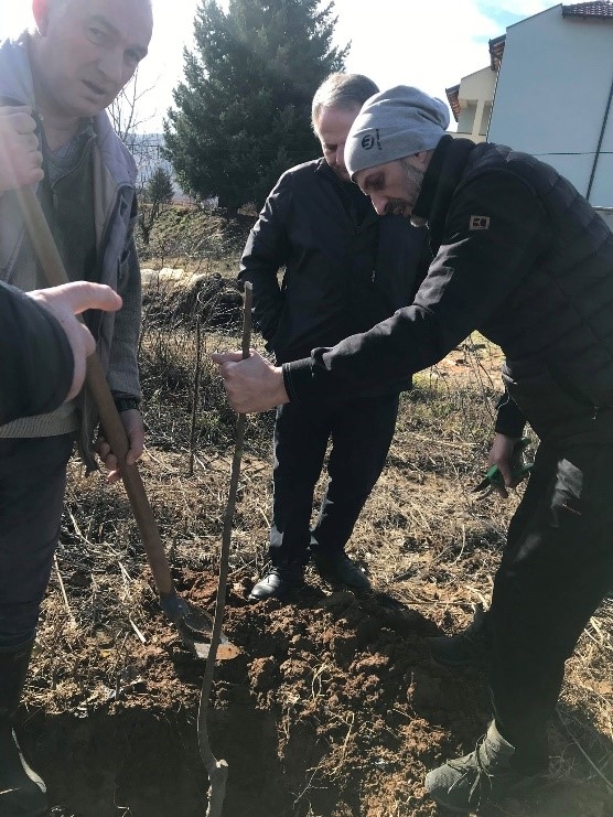 CNVP Kosovo supports members of APFOs to establish chestnut demonstration Plots