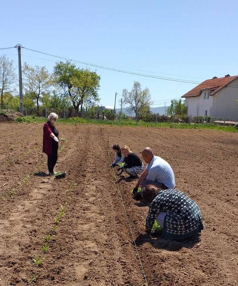 CNVP Kosovo – providing 75000 MAP seedlings to WYPG in Kaçanik