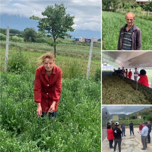 Increased access of farmers from Devoll and Maliq municipalities to modern MAPs drying facilities