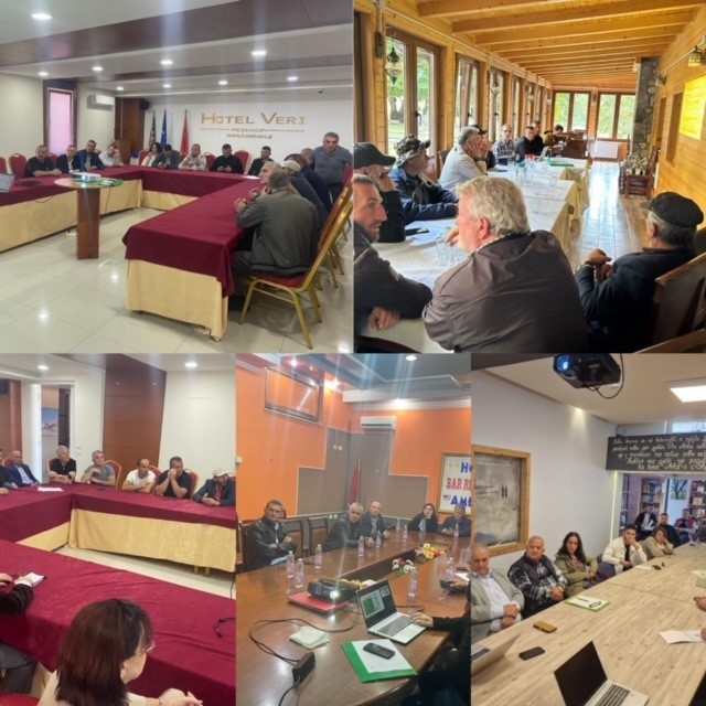 Info session for the PONT-funded project open call in Albania