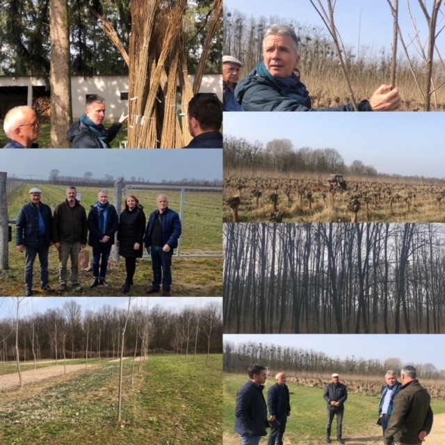 Knowledge sharing for  Fast growing seedling production