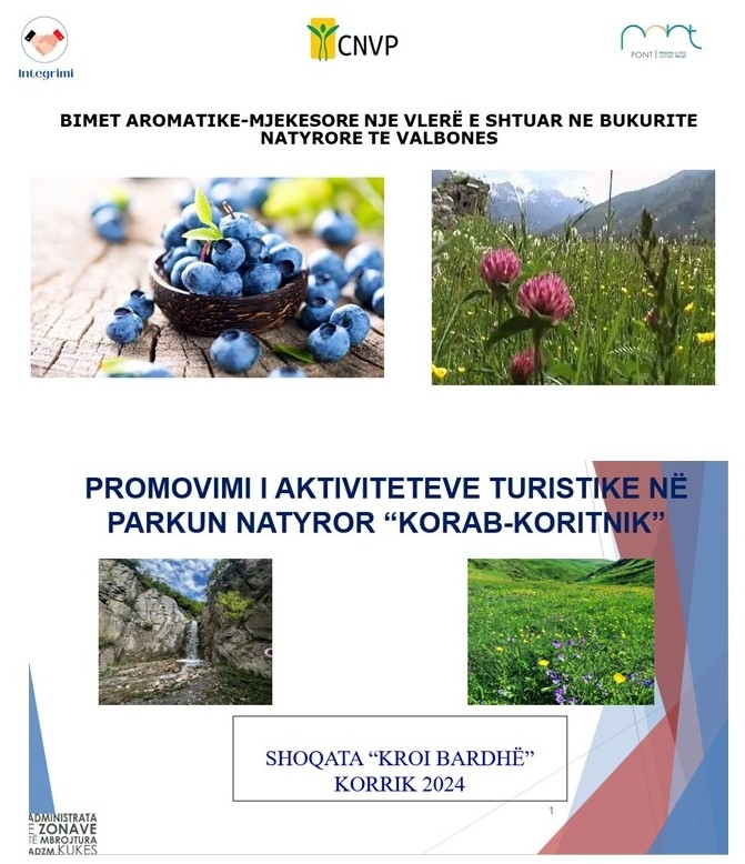 Regional Meeting in Kukes, Albania highlights Sustainable Initiatives and Community Collaboration
