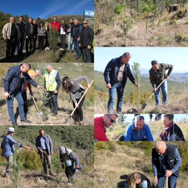 CNVP Albania Organizes Tree Planting Day in Ana e Malit to Promote Sustainable Forest Management