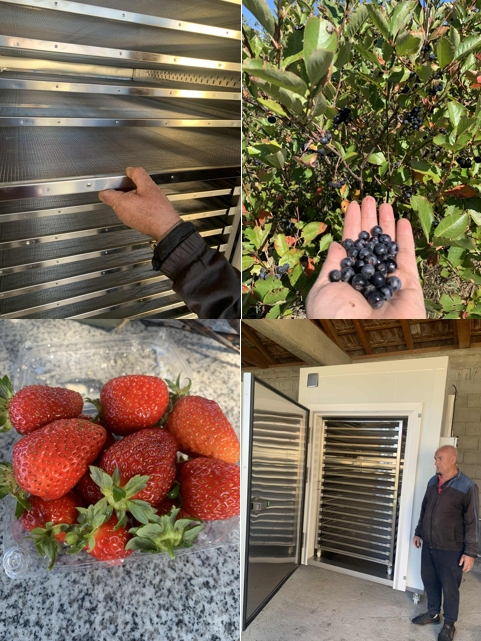 From Chestnuts to Strawberries