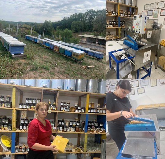 Empowering Women Beekeepers in the Peja Region
