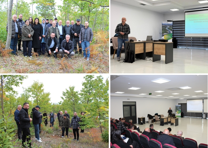 Rehabilitation of Chestnut Forests in Deçan – A Successful Model of Integrated Forest Management