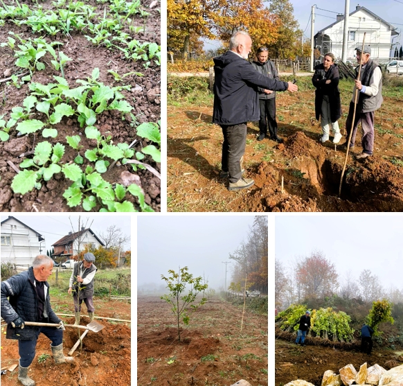 Chestnuts and Rapeseed: Supporting Women Farmers and Bee Habitats