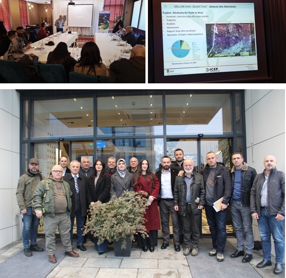 Beech Forest Thinning and Innovative Afforestation Models Implemented Under the IFM Project