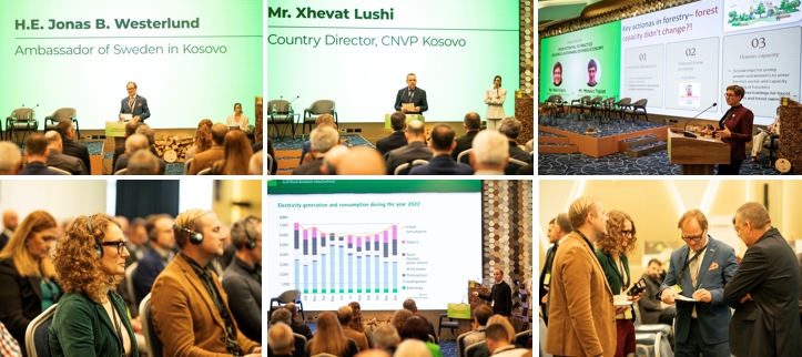 Kosovo's First National Forum on Wood Biomass Energy