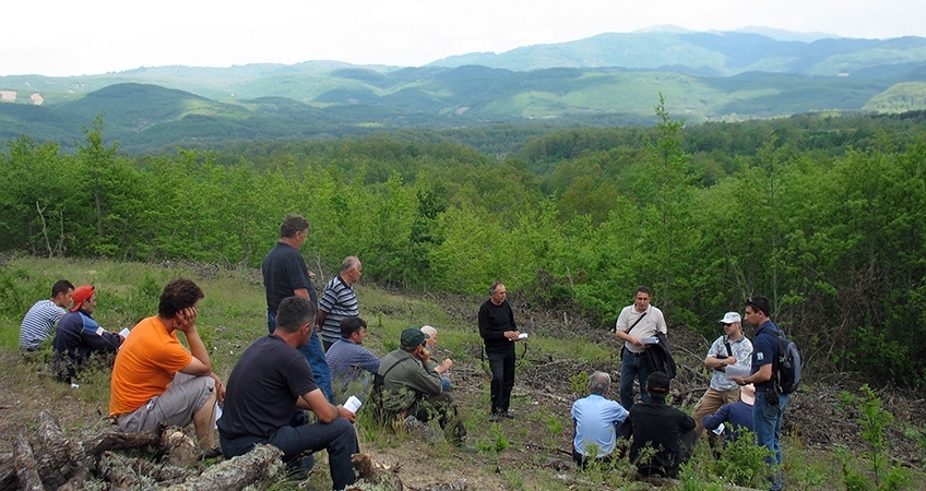 Forests for Local Economic Development