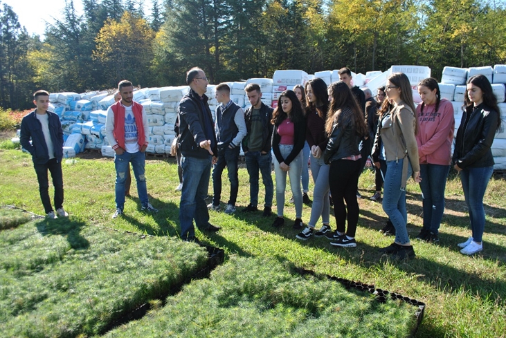Raising awareness about the importance of the forestry sector