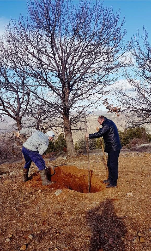 Strengthening municipal forest and local stakeholder capacities