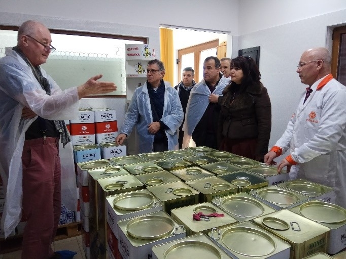 CNVP Albania Supports Quality Honey Production and Marketing