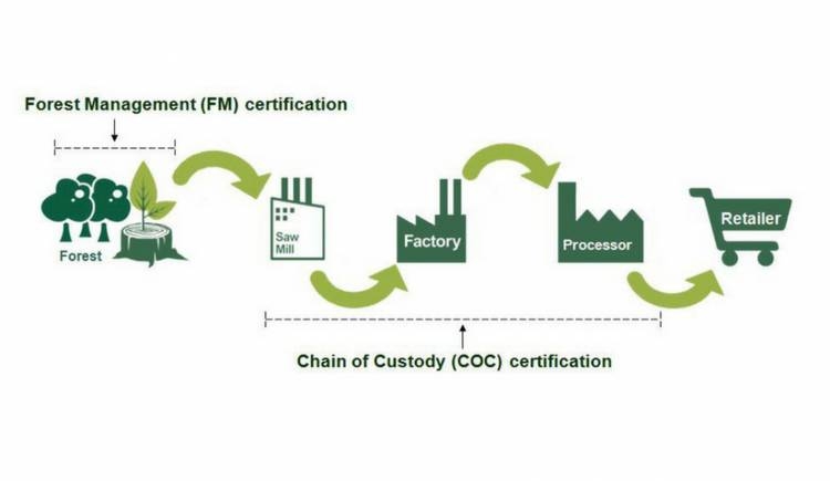 CNVP supports wood industry Chain of Custody (CoC) certification