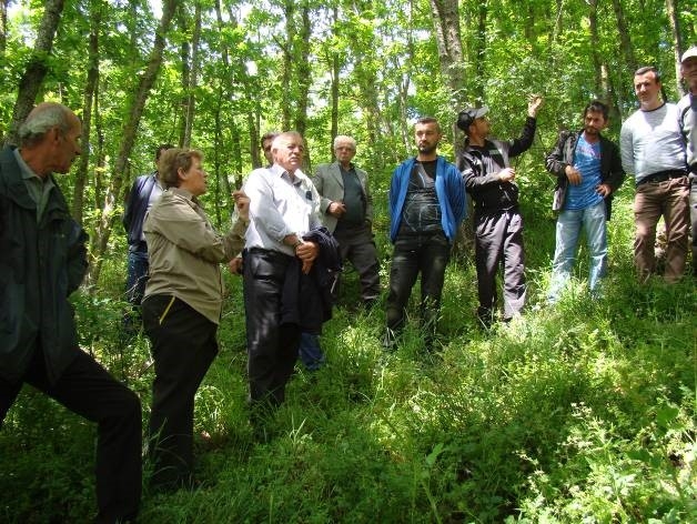 Developing a Family Forest Model