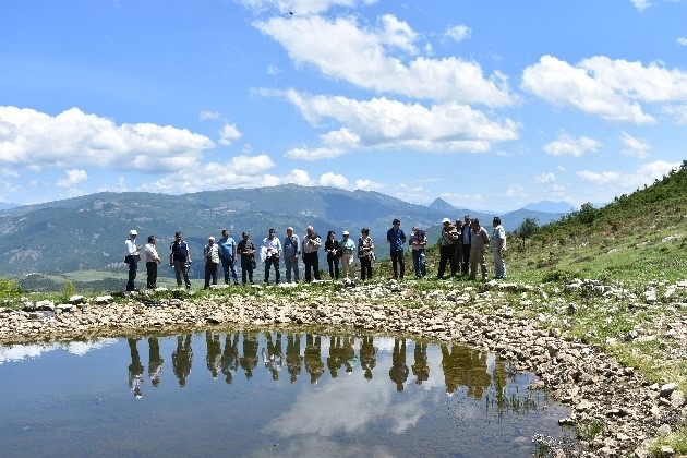 CNVP Develops Pasture Management Model