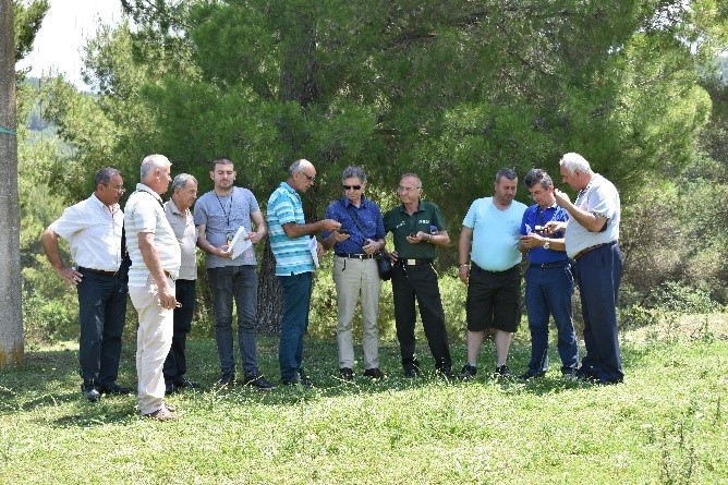 CNVP Supports Sustainable Forest Management Practices in Gjirokastra Region