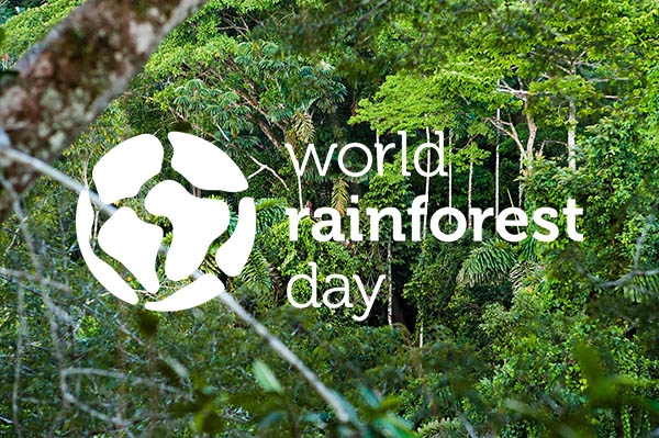 World Rainforest Day