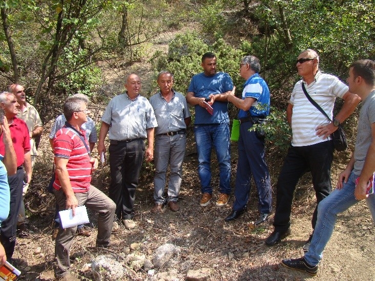 Developing Family Forest Model in Gjirokastra Region