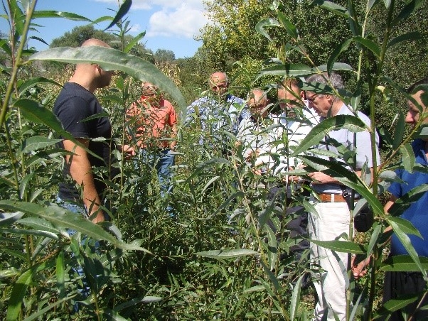 CNVP supports nursery development for fast growing tree species