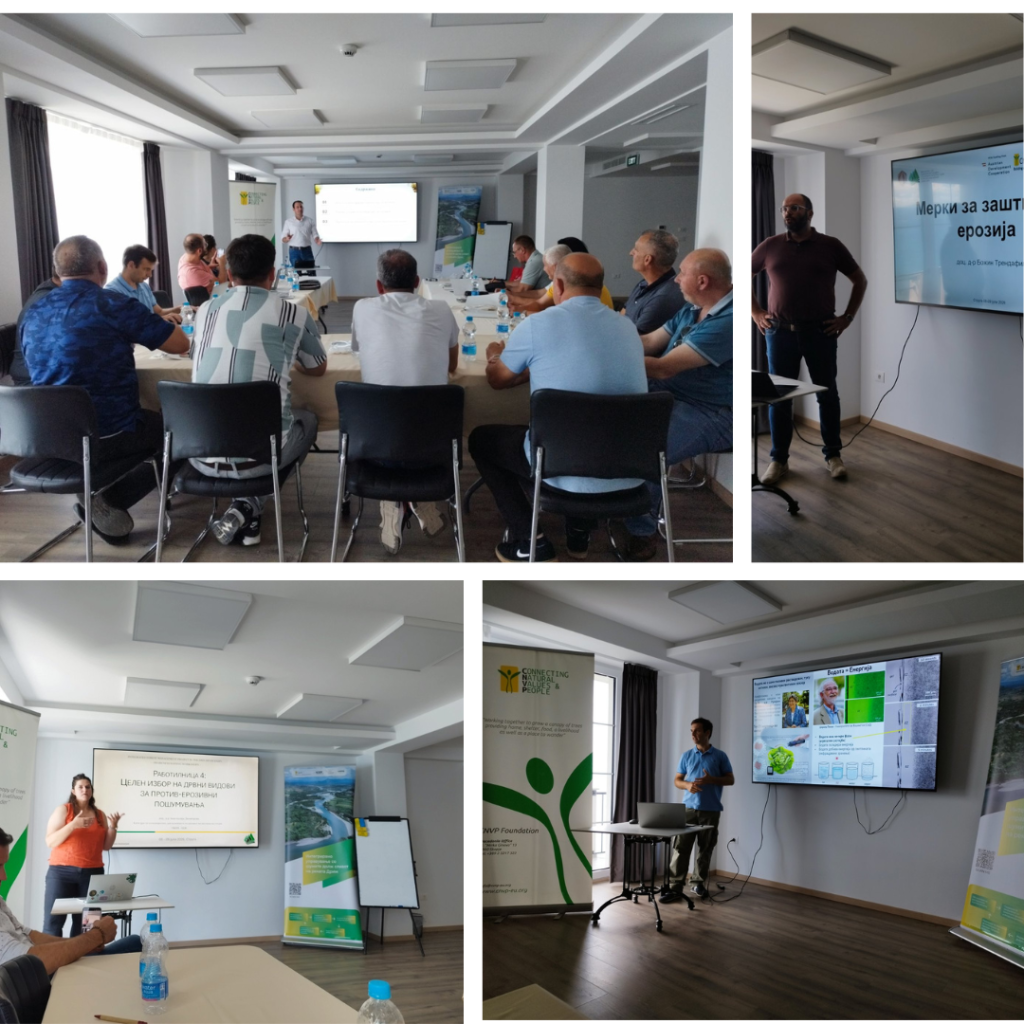 CNVP Skopje Organizes Workshop on Integrated Forest Management and Afforestation of Erosion-Prone Areas