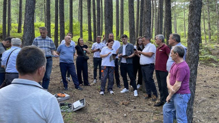 Strengthening Local Capacity for Sustainable Forest Management in the Drin River Basin — image 1