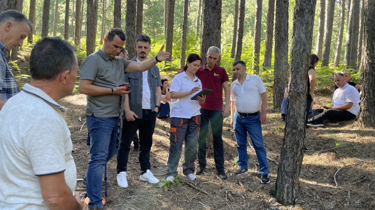 Strengthening Local Capacity for Sustainable Forest Management in the Drin River Basin — image 2