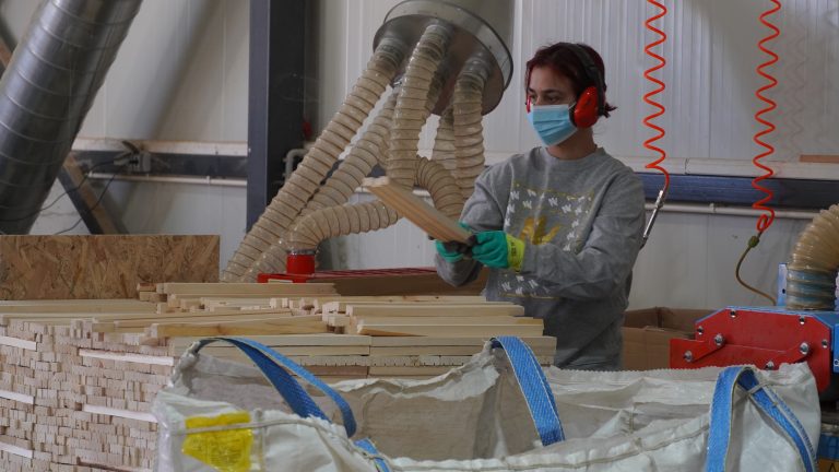 Where Local Wood Meets Beekeeping — image 3
