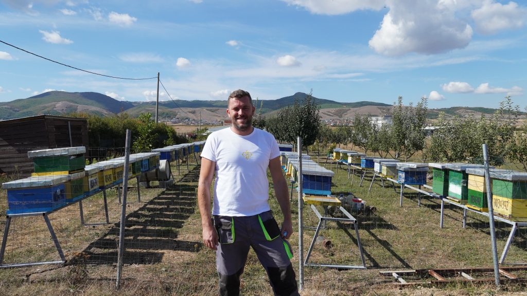 Where Local Wood Meets Beekeeping