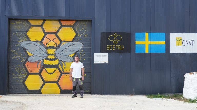 Where Local Wood Meets Beekeeping — image 8