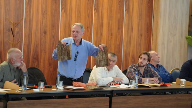 Strengthening Sustainable Forest Management in Bjeshkët e Nemuna National Park — image 13