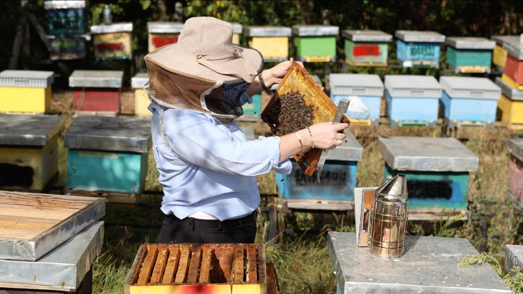 Women at the Heart of Kosovo’s Beekeeping Sector