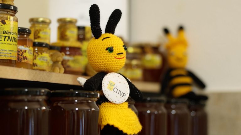 Women at the Heart of Kosovo’s Beekeeping Sector — image 7