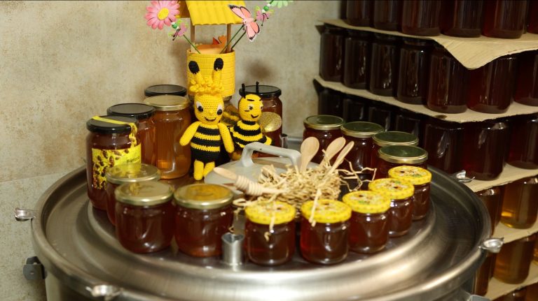 Women at the Heart of Kosovo’s Beekeeping Sector — image 2