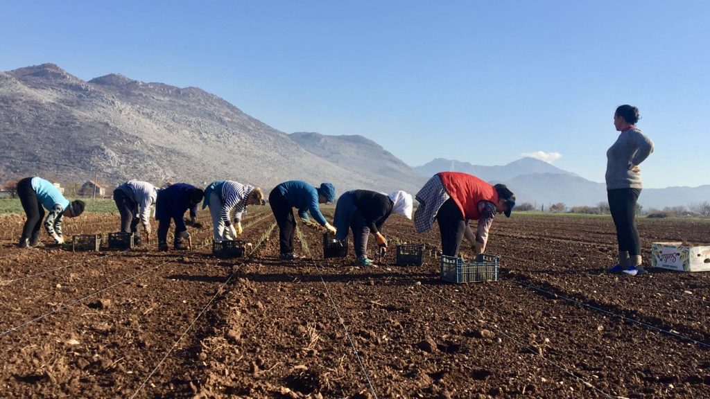 Rural Women: Growing Stronger Communities and a Greener Future